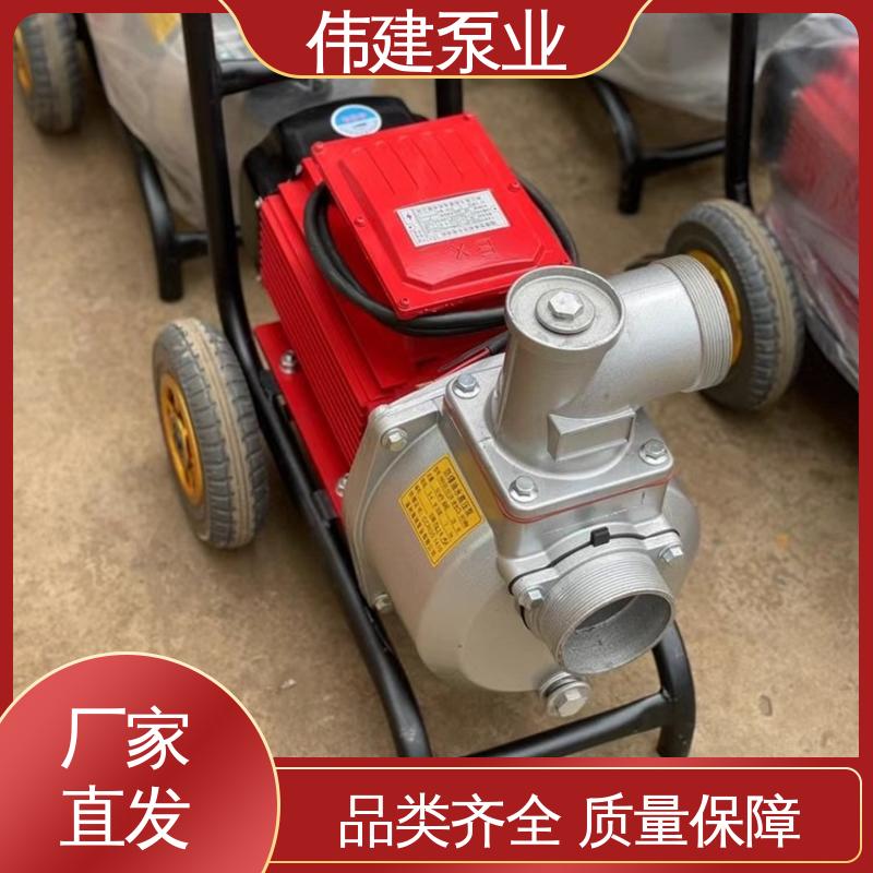 伟建生产 润滑油脂沥青输送 规格齐全 罗茨油泵