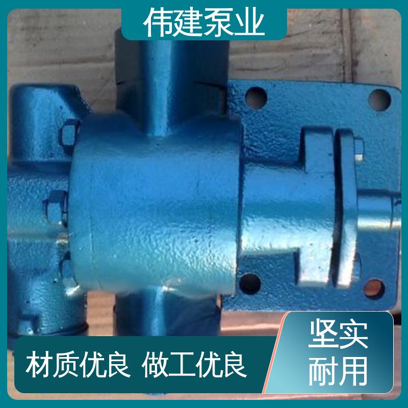 伟建生产 高流量 豆浆豆渣用 电动齿轮泵 支持定制