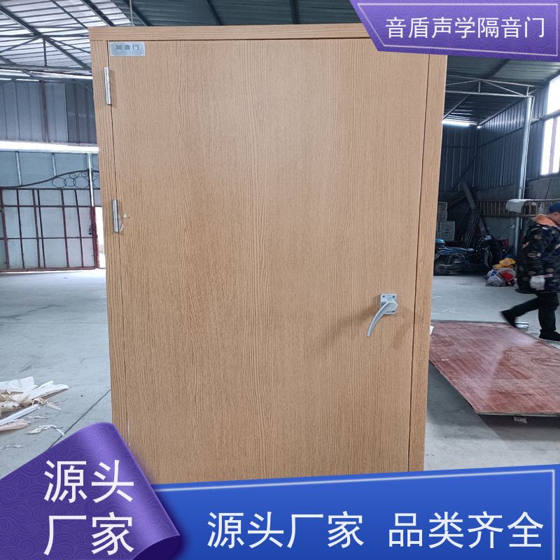 音盾 电影院 防火隔音门 品质保证 生产批发厂家