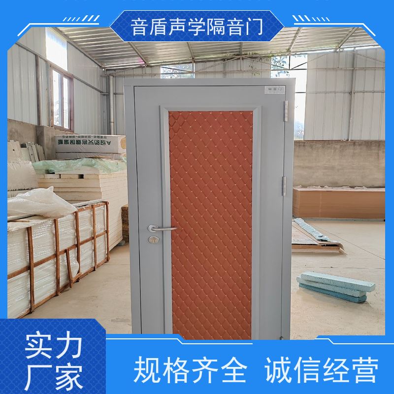 音盾科技 进户 防火隔音门 品质保证 品牌定制生产