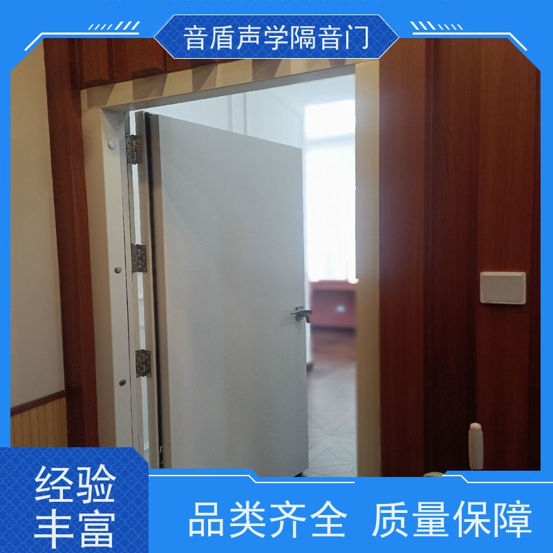 音盾科技 电影院 隔声门 品质保证 非标定制生产