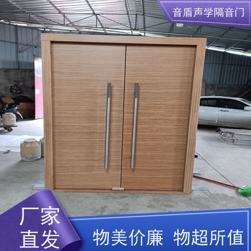 音盾科技 录音棚 隔音门 品质保证 品牌定制生产