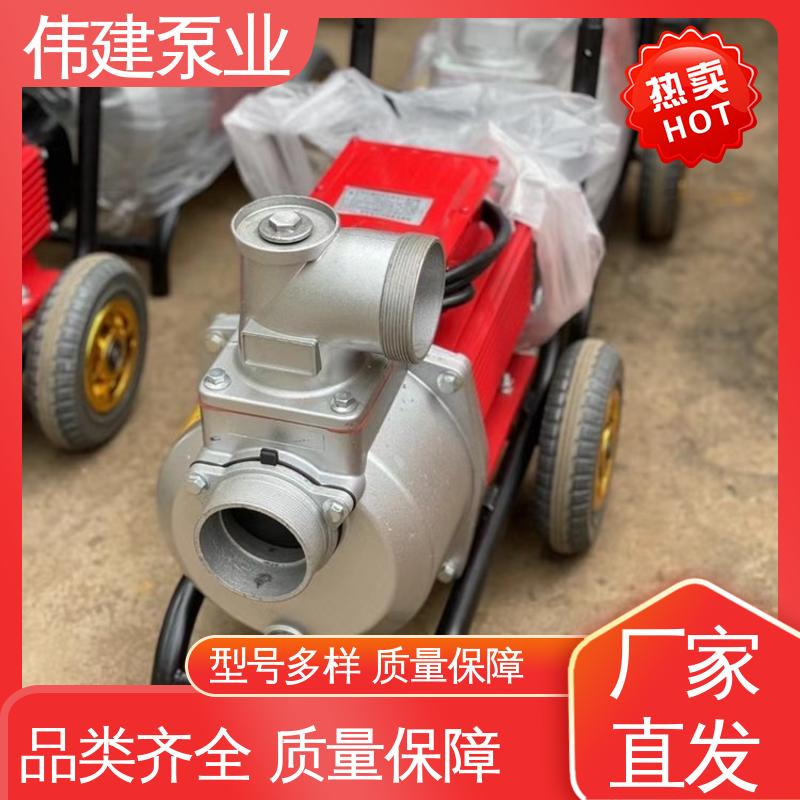 伟建供应 支持定制 无泄漏效率高 罗茨油泵 化工产品输送用