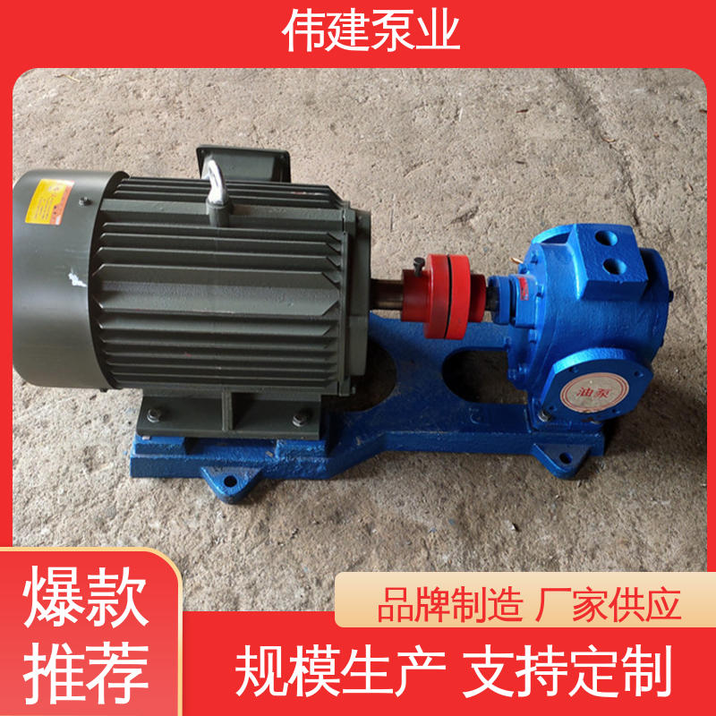 支持定制 加温保温高温隔套泵 多种形式安装 润滑油输送用 伟建供应