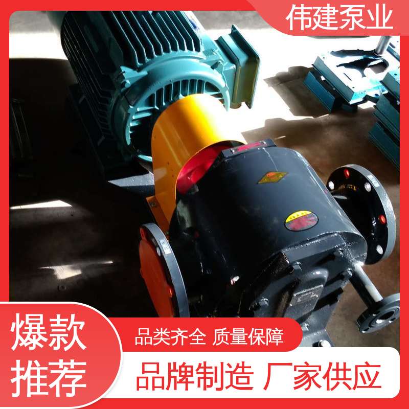 伟建生产 支持定制 沥青保温泵 高温蒸汽 润滑油输送用