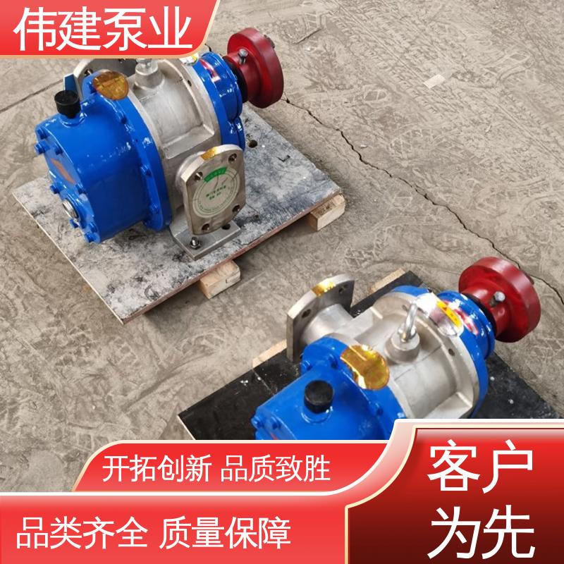 伟建供应 无泄漏效率高 粘度物料输送用 规格齐全 LC50皮带轮罗茨泵