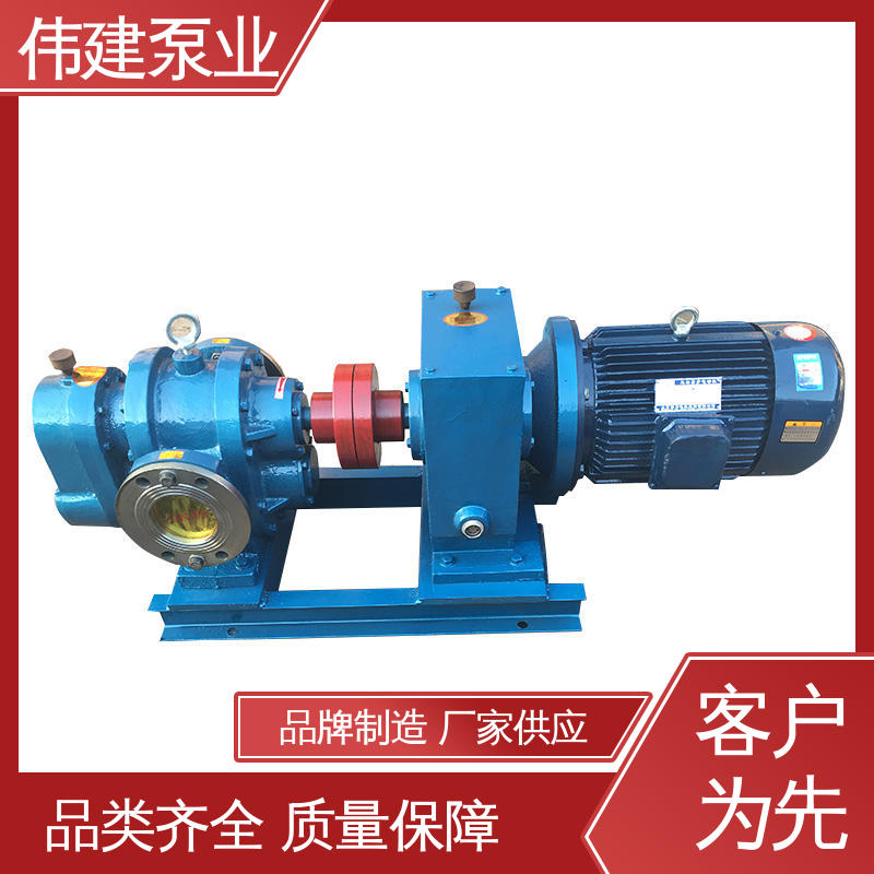 高粘度罗茨泵 规格齐全 噪音小体积小 伟建供应
