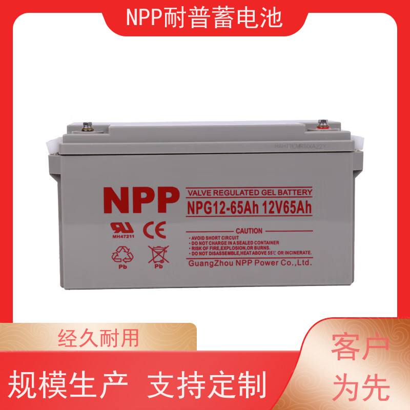 UPS电池厂 NPG12-200 适用EPS ups电源 维护保养