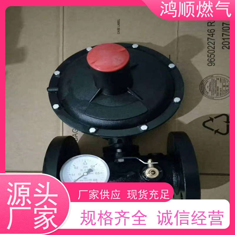 鸿顺 厂家供应 DN80燃气调压器 耐用安全坚固 按需定制