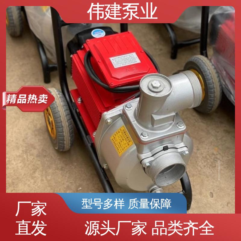 伟建供应 噪音小体积小 橡胶树脂输送用 罗茨油泵 支持定制
