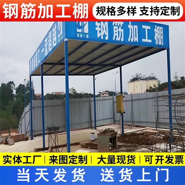特信 钢筋棚标准化尺寸 厂家直发 安全通道双层防护棚