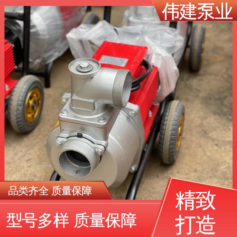 润滑油脂沥青输送 规格齐全 大流量 LC50皮带轮罗茨泵 伟建生产