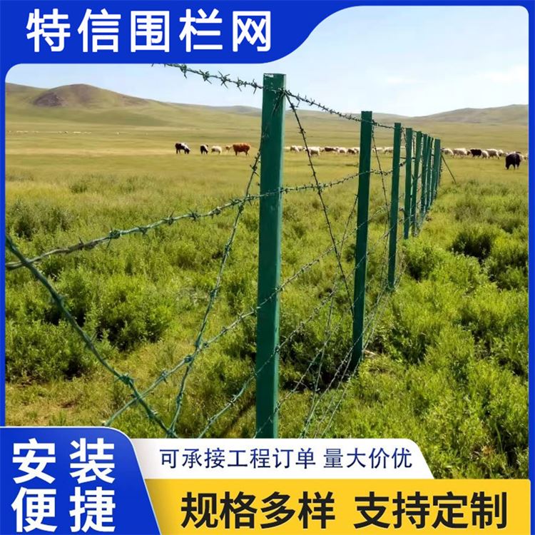 特信围栏 厂家直供 防盗带刺铁丝网 高铁刺丝滚笼