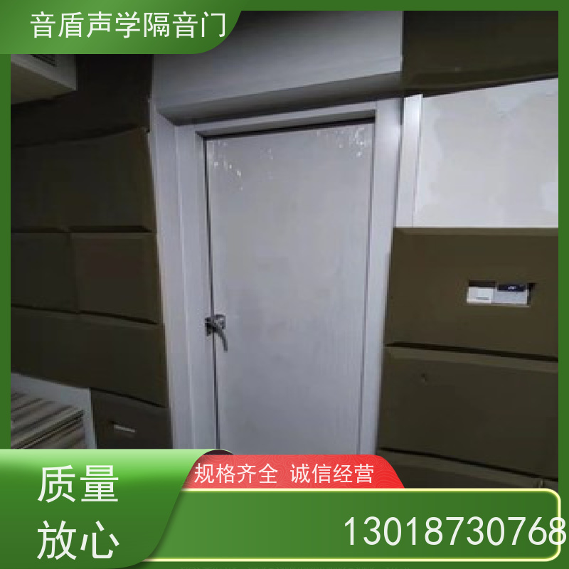 音盾科技 电影院 防火隔音门 实业 生产批发厂家