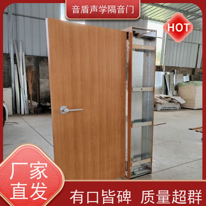 音盾科技 防盗 防火隔声门 值得信赖 大型定制工厂