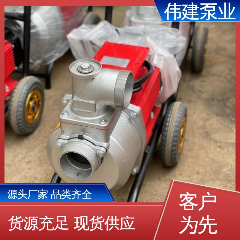 三叶转子泵 化工产品输送用 无泄漏效率高 支持定制 伟建供应