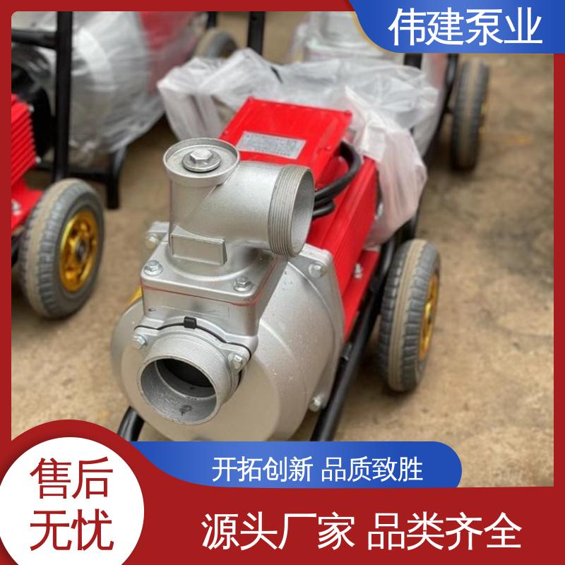 规格齐全 LC50皮带轮罗茨泵 橡胶树脂输送用 伟建供应