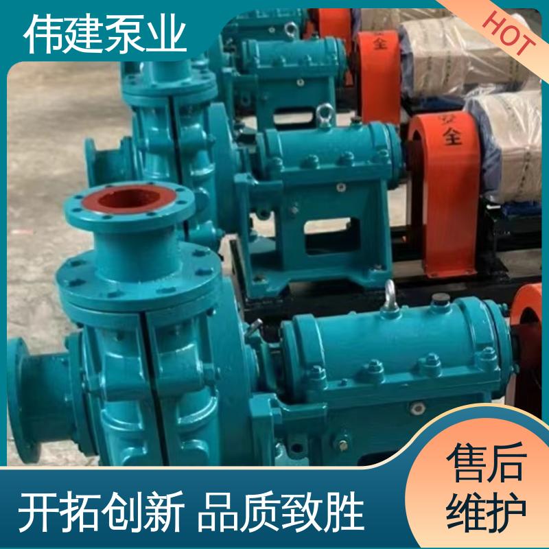 伟建供应 支持定制 耐磨性能好 硬齿面泵 豆浆豆渣用