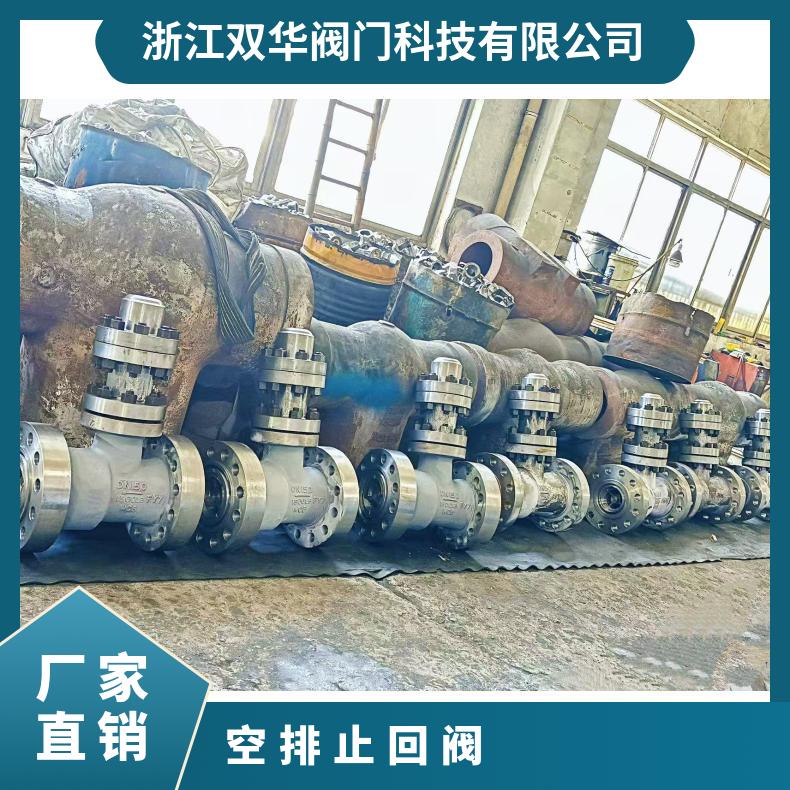空排止回阀H48Y-260 再循环泵保护阀防止倒流阀 电站高压阀