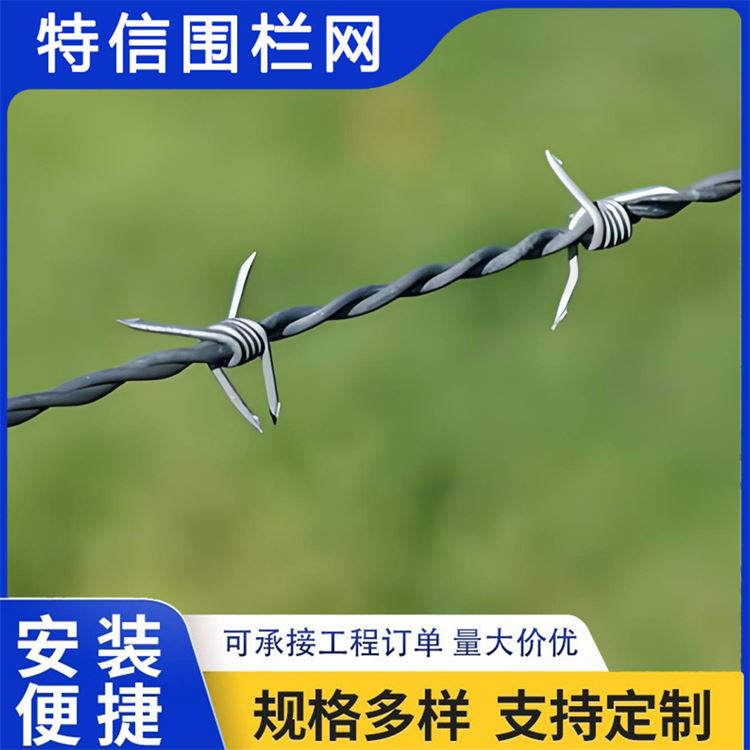特信围栏 防盗带刺铁丝网 质量放心 刺绳护栏网