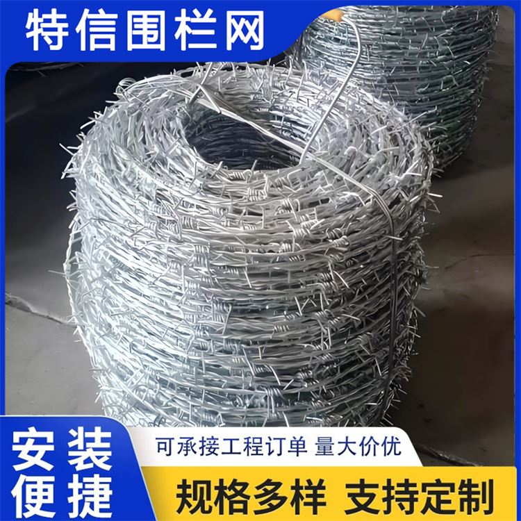 特信丝网 高铁刺丝滚笼 可按需定制 栅栏护栏网