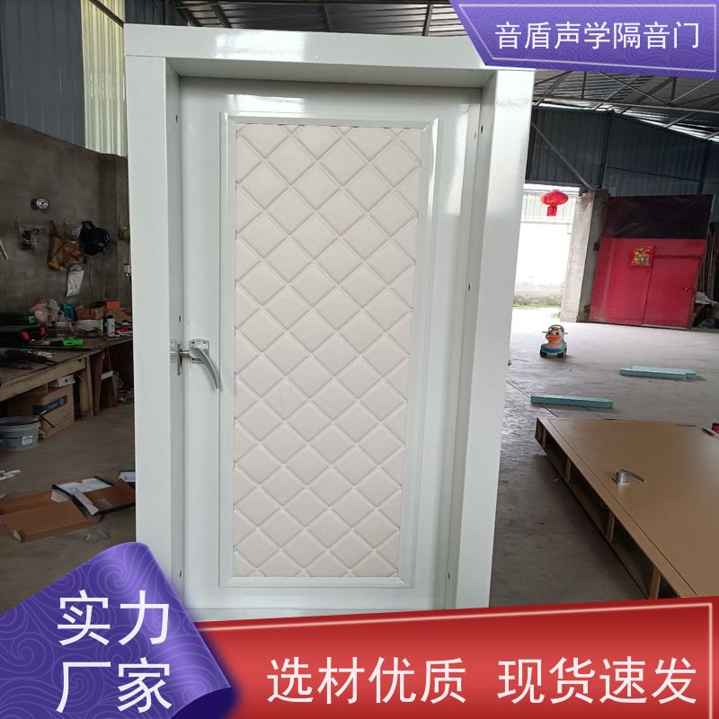 音盾声学 舞蹈室 防火隔声门 品质保证 工厂批发