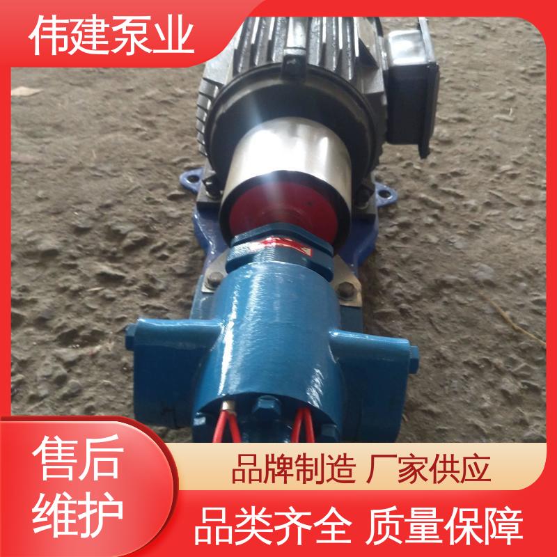 性能稳定 容积式转轮泵 聚氨酯 无泄漏船用 伟建生产