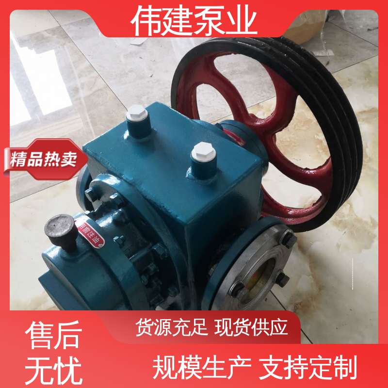 伟建供应 高粘度罗茨泵 规格齐全 橡胶树脂输送用 运行可靠