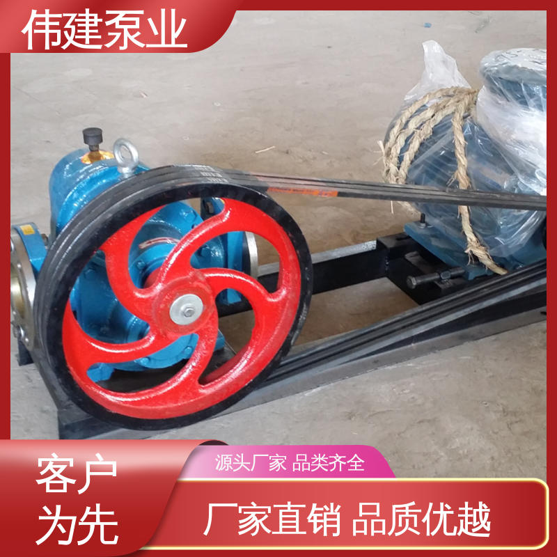 耐高温300度 高粘度泵 支持定制 橡胶树脂输送用 伟建供应