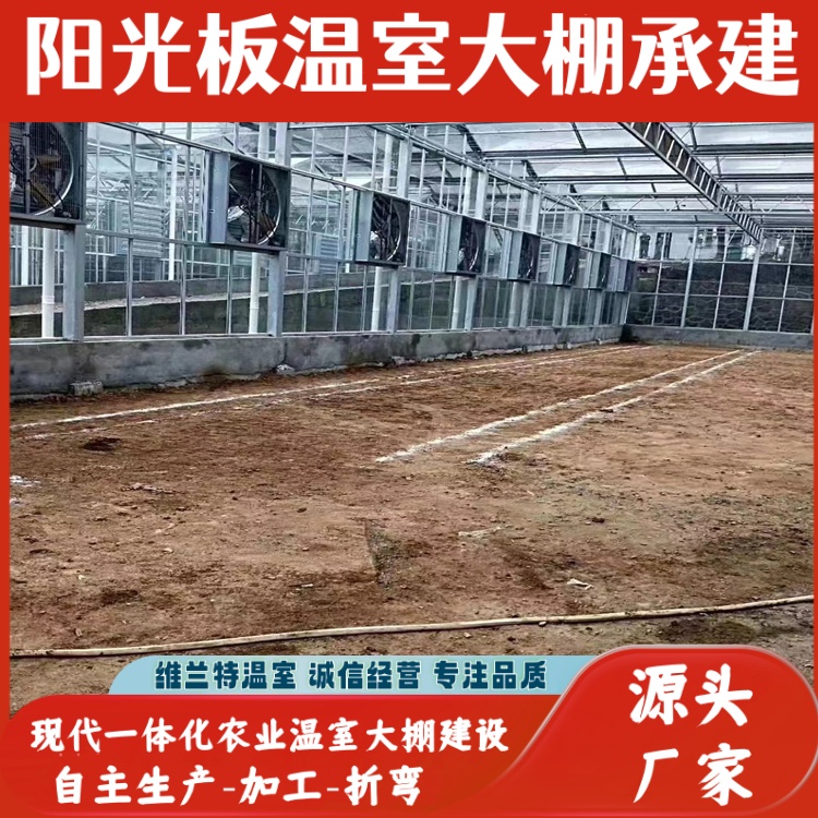 图6