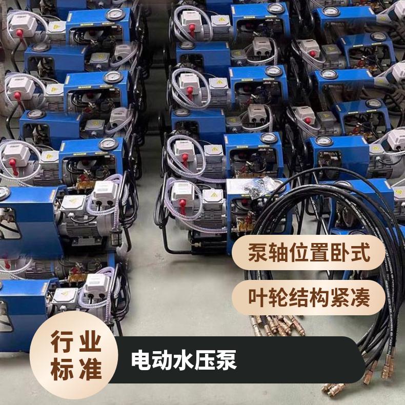 硫化器配套电动泵含高压胶管两端带快速接头