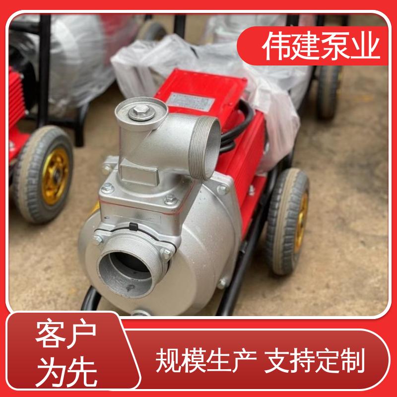 伟建供应 化工产品输送用 LC50皮带轮罗茨泵 运行可靠 规格齐全