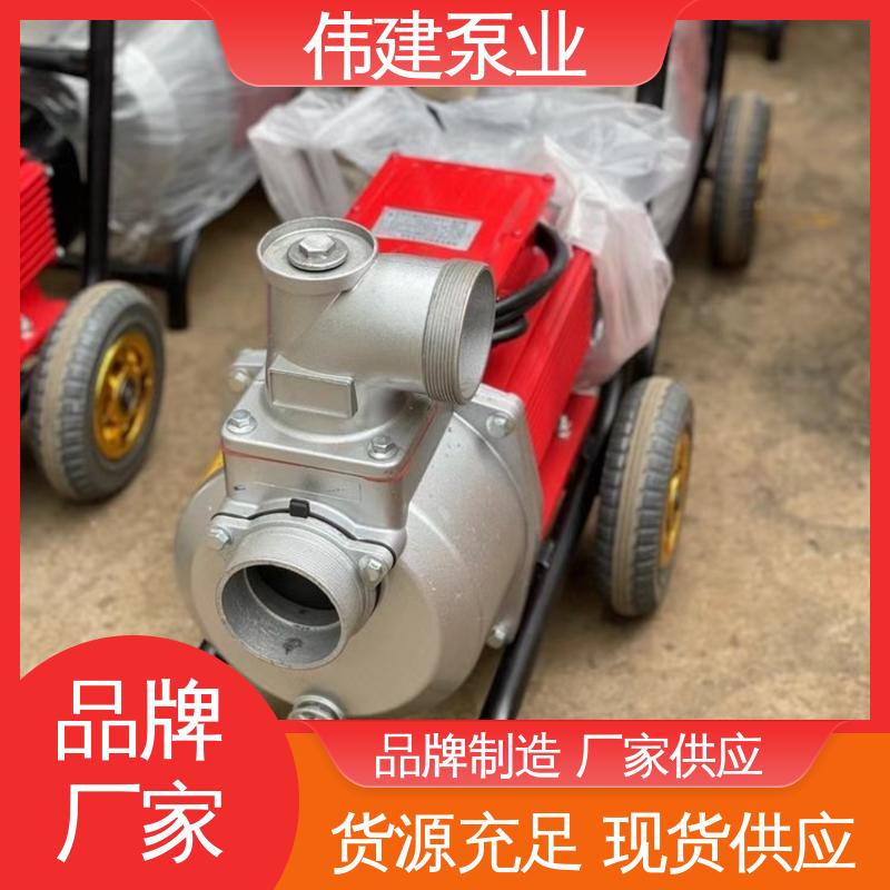伟建供应 无泄漏效率高 涂料油漆输送用 规格齐全 高粘度泵 