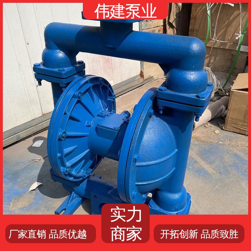 伟建供应 高粘度泵 支持定制 润滑油脂沥青输送 噪音小体积小