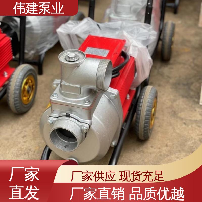 伟建生产 耐酸碱耐腐蚀 规格齐全 糖蜜糖浆卸车用 LC50皮带轮罗茨泵