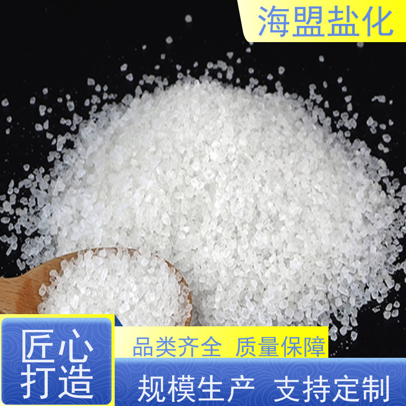 海盟盐化 易溶于水 颗粒晶体盐 水处理用 厂家直供