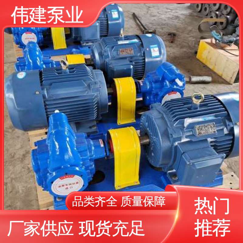 伟建生产 支持定制 加温保温高温隔套泵 聚氨酯