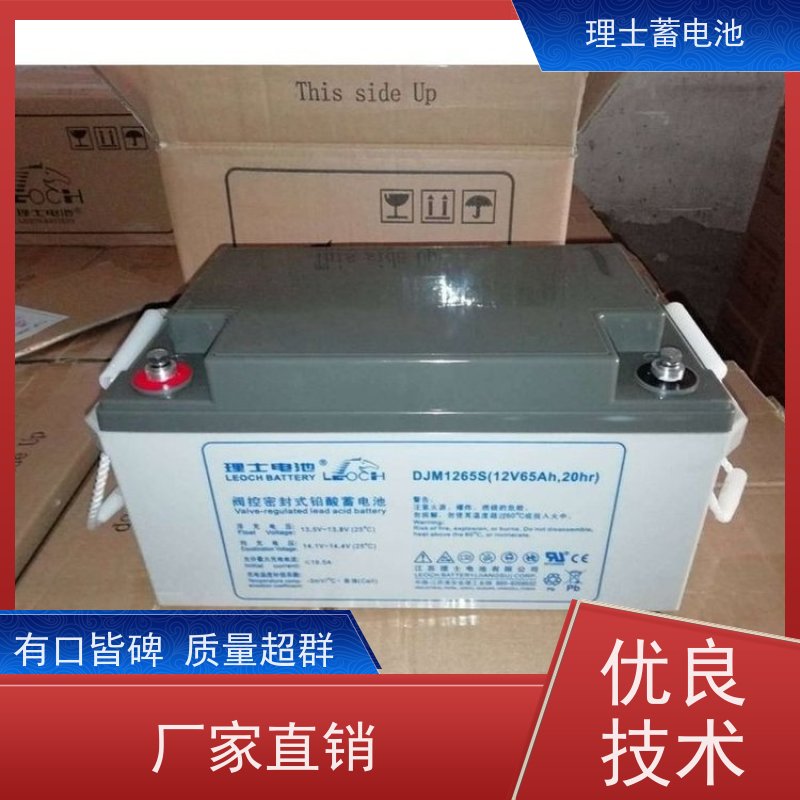 LEOCH理士蓄电池 12V65AH 铅酸储能电瓶 库存充足