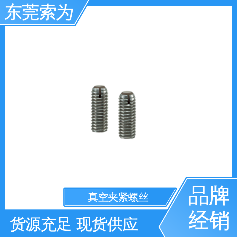 批发供应 SCSS-VF 真空夹紧螺丝 全螺纹型 汽车制造用