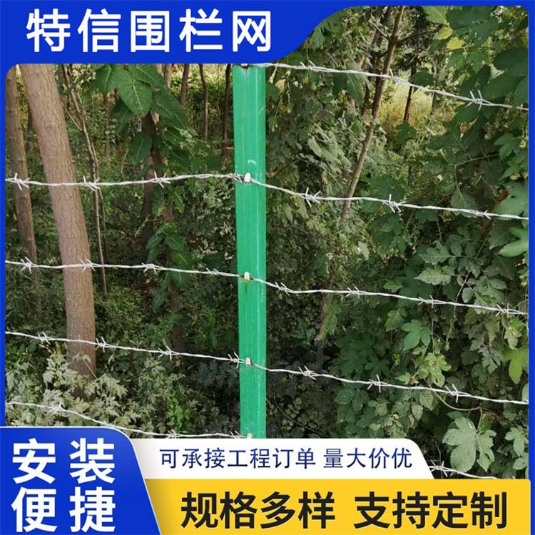 特信围栏 防盗带刺铁丝网 品质致胜 栅栏护栏网