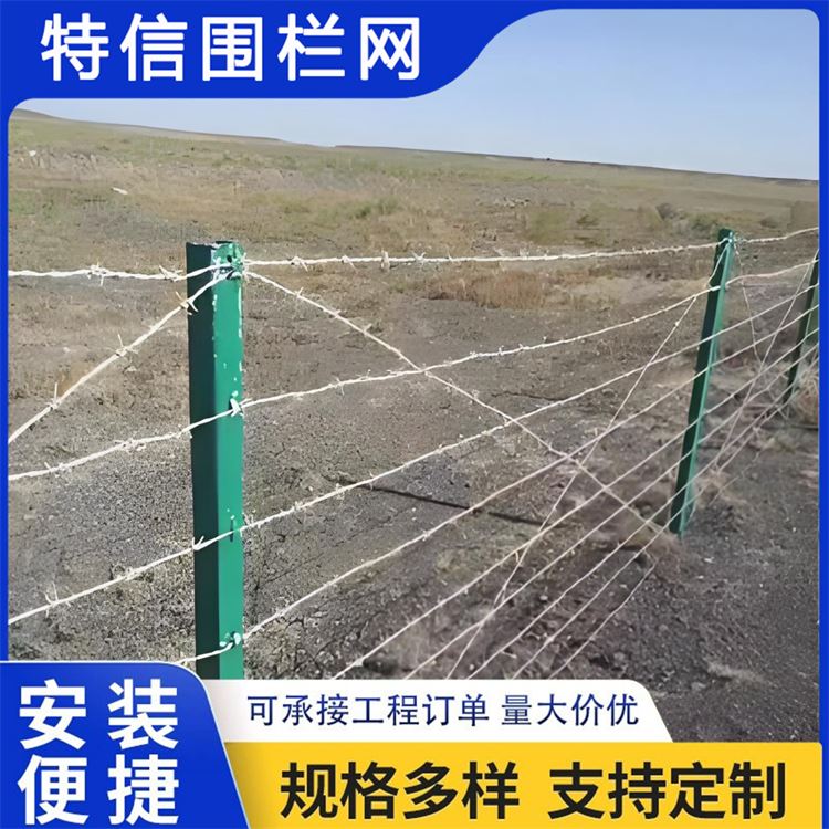 特信围栏 高铁刺丝滚笼 防盗铁丝刺藤 厂家批发