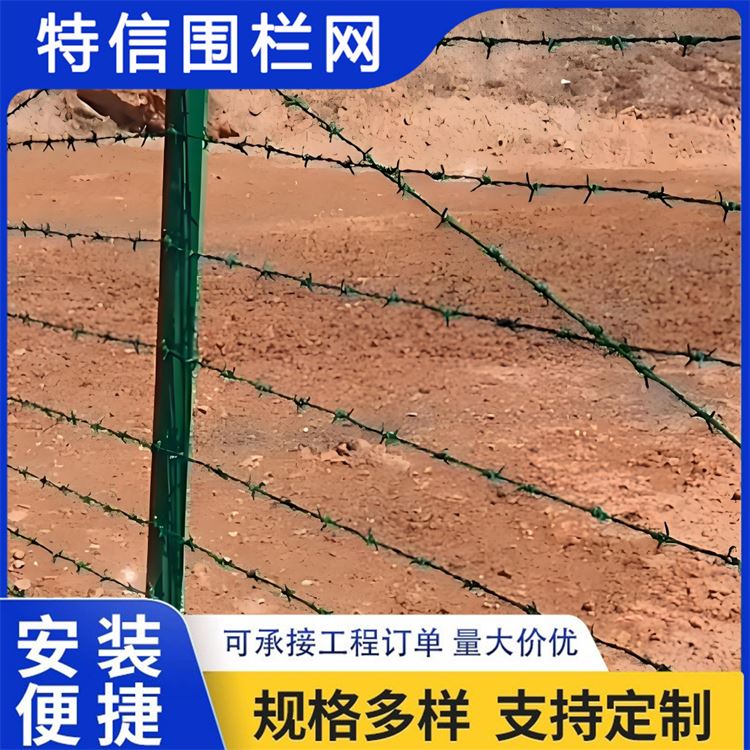 特信围栏 刺铁丝隔离栅 质量优良 高铁刺丝滚笼
