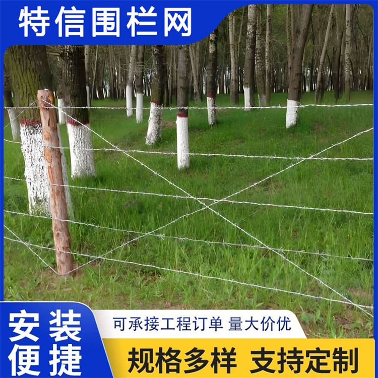 特信围栏 刺绳护栏网 防盗带刺铁丝网 极速物流