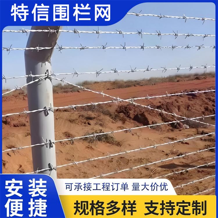 特信围栏 防盗带刺铁丝网 可按需定制 栅栏护栏网