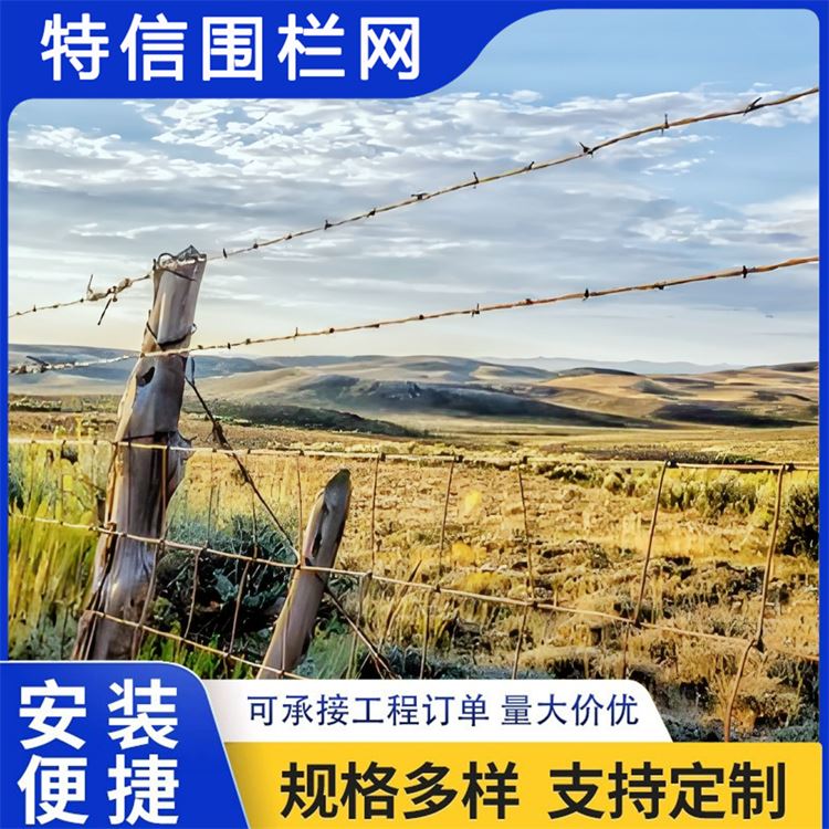 特信围栏 刺绳护栏网 防盗带刺铁丝网 质量优良 