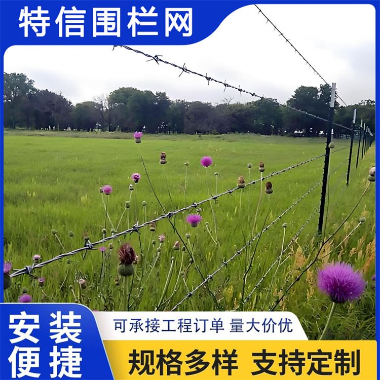 特信围栏 高铁刺丝滚笼 铁蒺藜防护网 质量优良