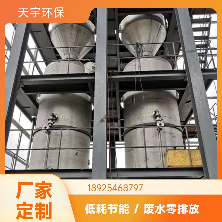高盐废水处理 多盐母液干燥机 电渗析脱盐用 规格可选 天宇环保