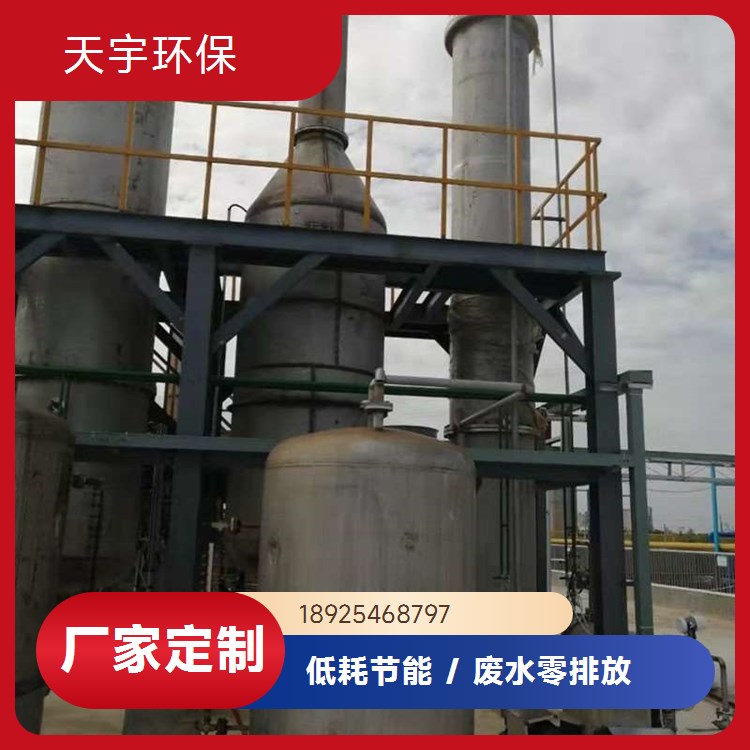 天宇环保 坚固耐用 钾矿提钾设备 分盐结晶系统 垃圾焚烧飞灰行业用