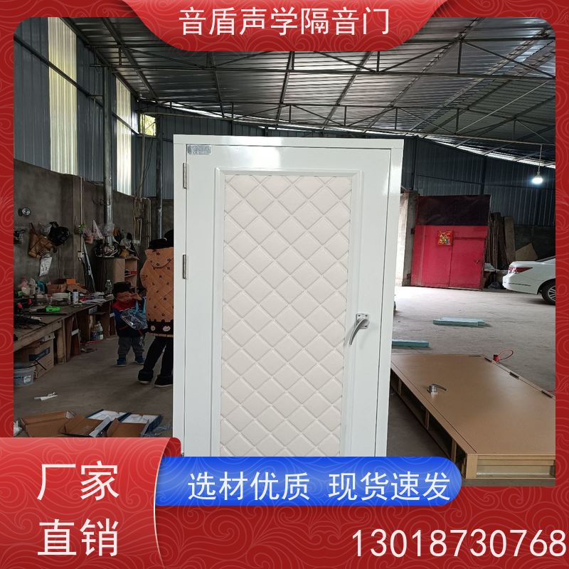 音盾声学 音乐教室 防火隔声门 品质保证 定制生产厂家