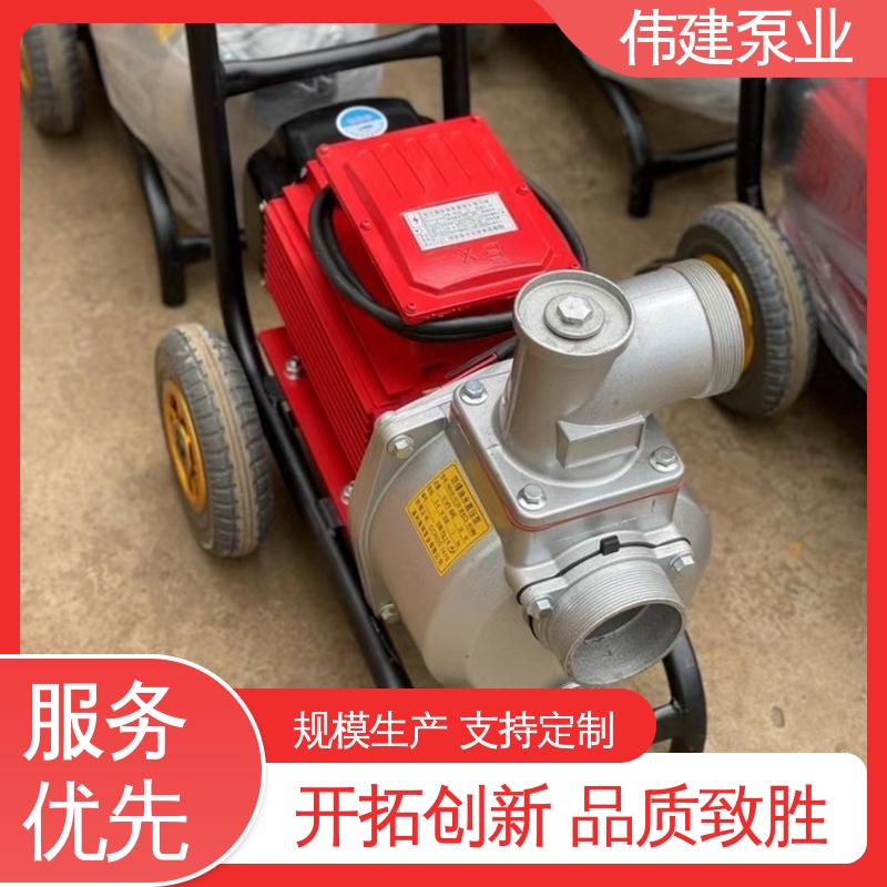 伟建生产 支持定制 罗茨油泵 涂料油漆输送用 耐酸碱耐腐蚀